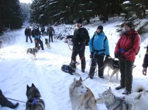 Winterwanderung mit Huskies