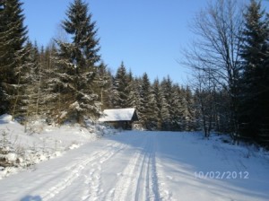 Hasenberg - Loipe